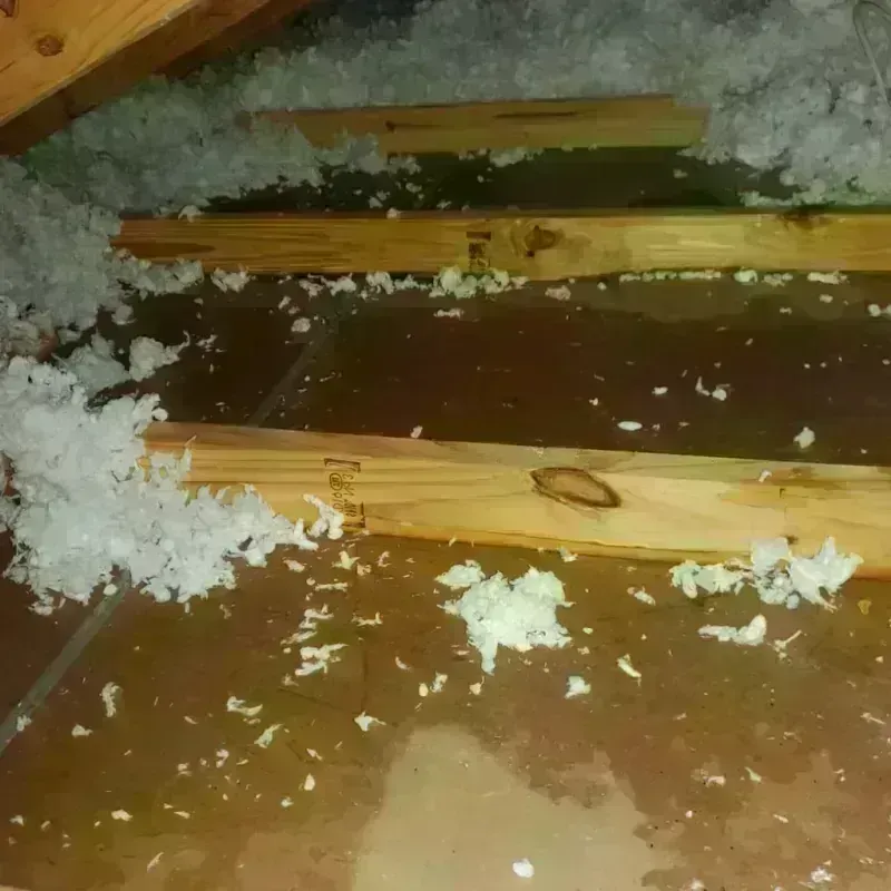 Attic Water Damage in McHenry, IL