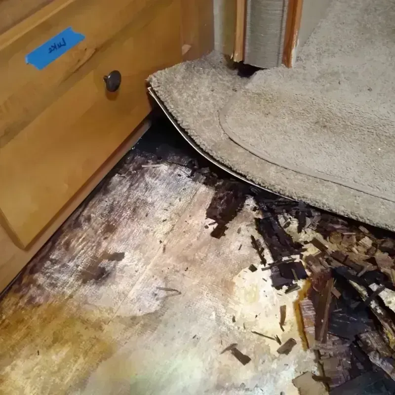 Wood Floor Water Damage in McHenry, IL